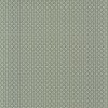 Trenza Vert de gris
