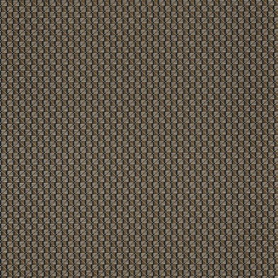 Trenza Noir