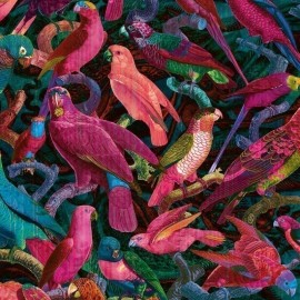 Panoramique PARROT IMPERIALIS de Quinsaï