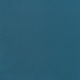 Bleu canard
