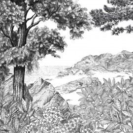 Papier peint Panoramique FORÊT DE BRETAGNE par Isidore Leroy