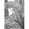 Papier peint Panoramique RIVIERA par Isidore Leroy