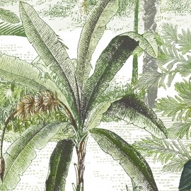 Papier peint Panoramique AMAZONE NATUREL par Isidore Leroy