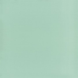 Aqua