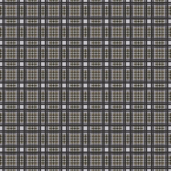 Nouvelle collection de tissus automne 2021 MADHYA fabrics Tissu à motif tartan PATIALI par Designers Guild