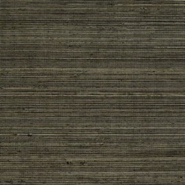 Coiba