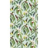 Papier peint végétal et oiseaux MICHELIA de l'éditeur anglais Osborne & Little