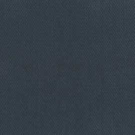 Bleu foncé