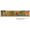Papier peint panoramique paysage femmes Un conte fantastique de Elitis Collection 360°