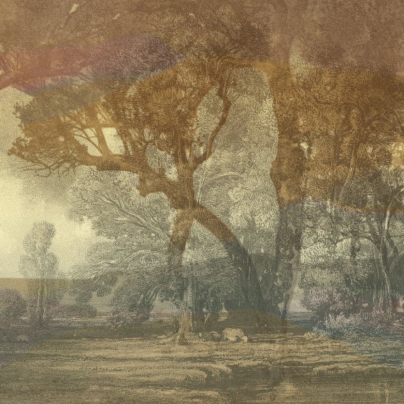 Papier peint Panoramique intissé premium L’éveil de la forêt par Quinsaï