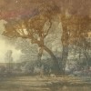 Papier peint Panoramique intissé premium L’éveil de la forêt par Quinsaï