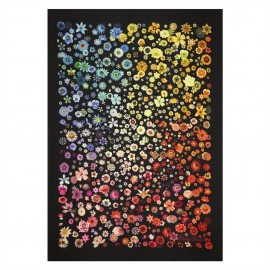 Multicolore
