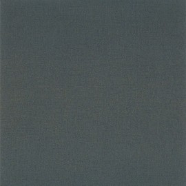 Bleu foncé
