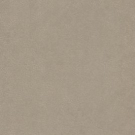 Obsessive Taupe