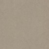 Obsessive Taupe