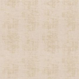 Beige rose