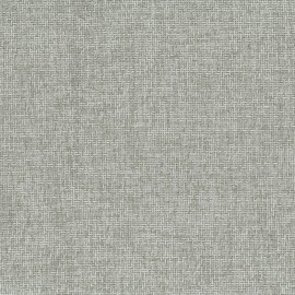 Gris clair