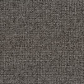 Gris foncé