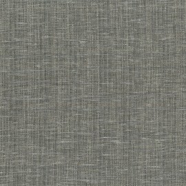 Gris foncé