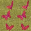 La chasse aux papillons