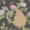 Papier peint anglais animal Pavona - Little Greene | Bleu Tortue