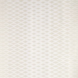 Papier Peint Lattice