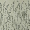 Papier Peint Feather Grass
