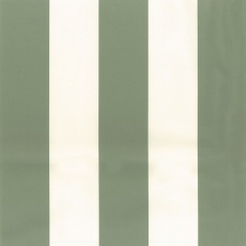 Kaki