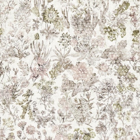 Tissu Herbaria