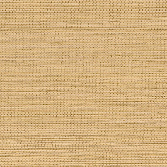 ZOSTERA