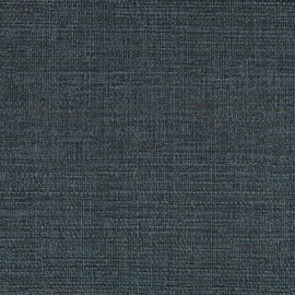 Bleu foncé
