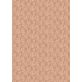 Saumon