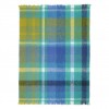 Plaid Fontaine Throw