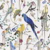 Birds Sinfonia