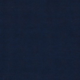 Bleu foncé