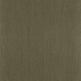 Kaki