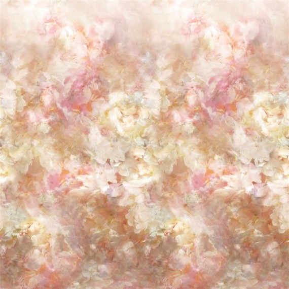 Fleur de Nuit Pale Coral
