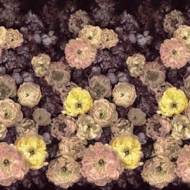 Le Poème de Fleurs