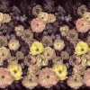 Le Poème de Fleurs