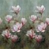 Yulan Magnolia