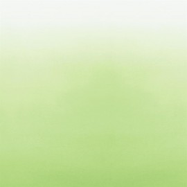Vert clair