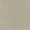 Alula Taupe