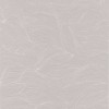 Alula Gris