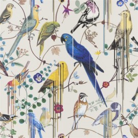 Birds Sinfonia