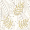 Alocasia Blanc