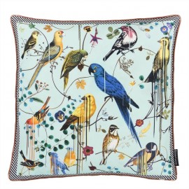 Birds Sinfonia Crepuscule