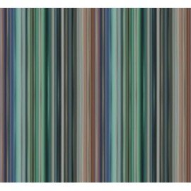 Riga Multicolore Verticale