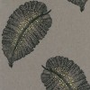 Paraggi