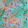 Flamingo Club