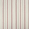 Darari Stripe